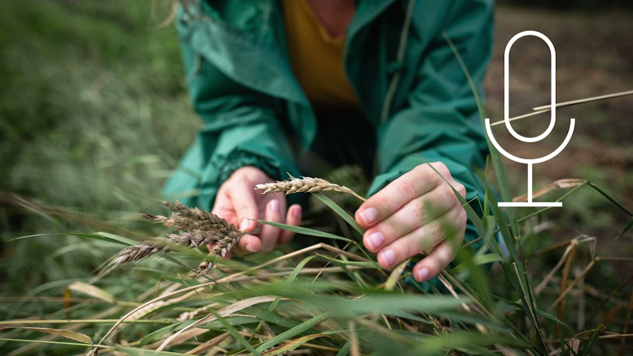 Episode 1: Natural climate solutions and collaboration featuring Bayer Crop Science and WBCSD