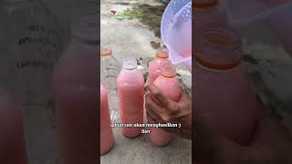 Download lagu Athari Kemasan Sabun Mandi | Orchid Brand mp3