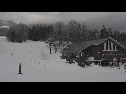livecam