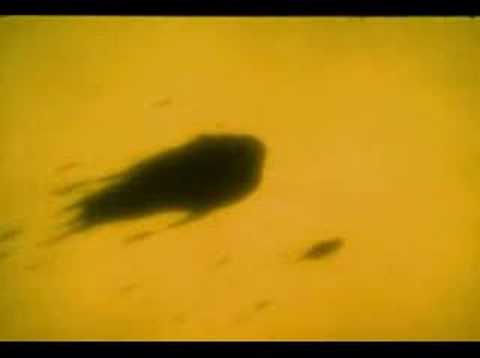 MATIAS D' ANDREA "WE WILL WIN" ROBOTECH "THE ALBUM" 2008