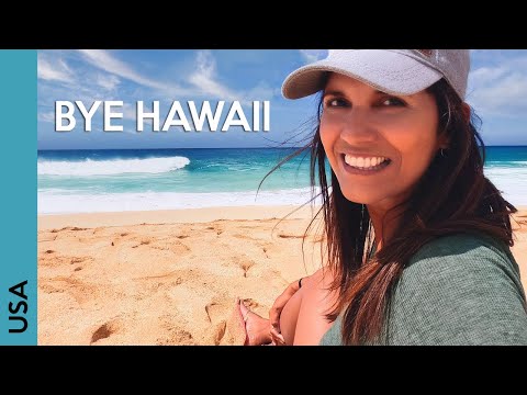 HAWAII: North Shore Oahu (Every Surfer's Dream Spot) 🤙🏄‍♀️