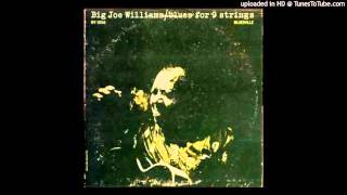 Big Joe Williams - Pearly Mae