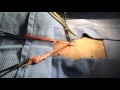 Canine Spay