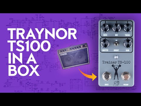 Drunk Beaver Trainer TS-100 (Traynor TS-100 preamp in a box) image 5