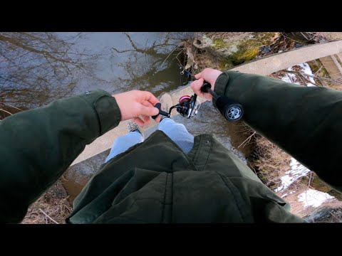 O oră de pescuit la spinning pe pârâu.