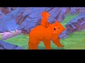 Brother Bear Koda