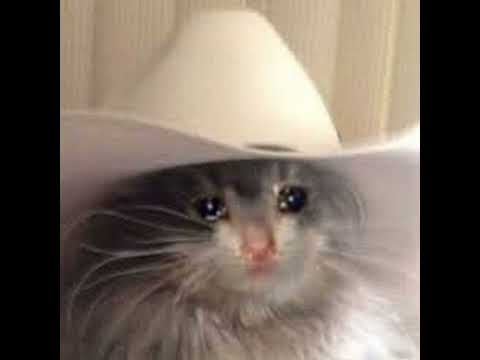 Benuebermensch - sosikk