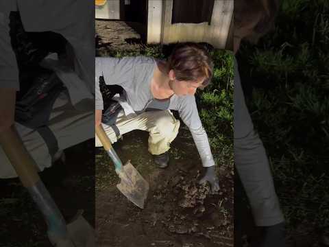 Para los que dicen que no sabemos meter pala🪏 #Q_ARE #PALA #AIDEN #FABI #SEBA #BIN #JAMIN #J #CHILE