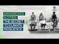 Mangroves Cities The Secret To Climate Resilience