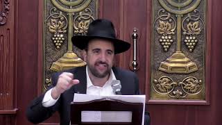 הרב מאיר אליהו | מחלוקת זה אש 🔥 | משכן יהודה -ה׳תשפ״ה (הרב מאיר אליהו) - התמונה מוצגת ישירות מתוך אתר האינטרנט יוטיוב. זכויות היוצרים בתמונה שייכות ליוצרה. קישור קרדיט למקור התוכן נמצא בתוך דף הסרטון