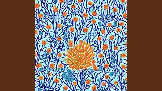 Coulda, Shoulda, Woulda