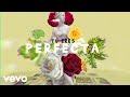 Luis Fonsi - Perfecta (Lyric Video) [Feat. Farruko]