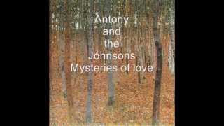 Antony and the Johnsons Mysteries of love