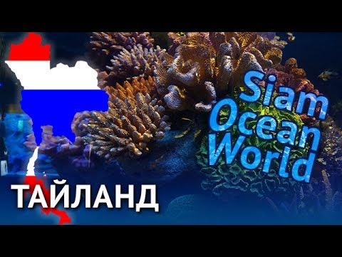 Океанариум Siam Ocean World (Бангкок)