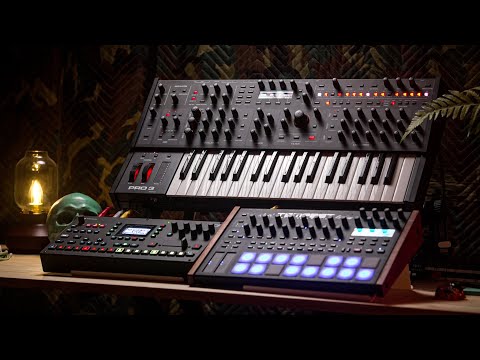 A Sampler, Synth, and Drum machine.. All you need! // A Compact Creation with this Dawless Setup