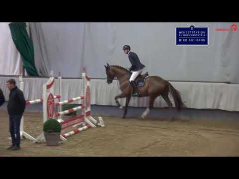 Madness Sporttest 2022 - Hensgtstation Dirk Ahlmann