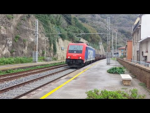 MRS Villa S.G. Bol. - Torino Orb.