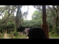 Warthogs And Ostrich Eggs At The Safari Ride Disney S Animal Kingdom