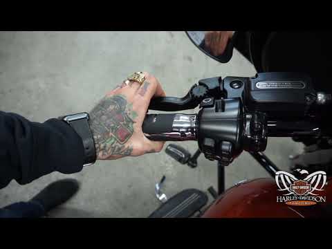 PCB Harley-Davidson | PSR Adjustable Levers Overview