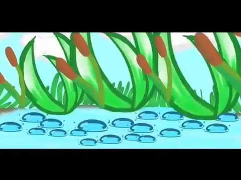 Mr. Raindrop Full Movie