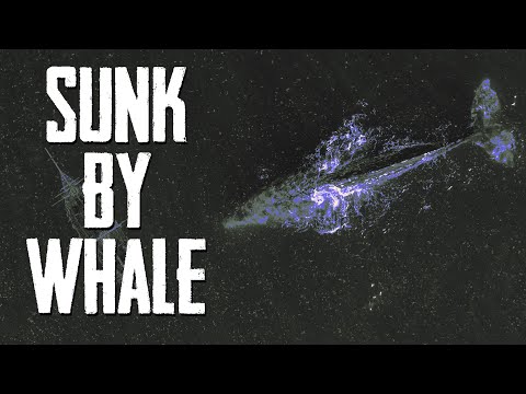 Whaleship Essex   The Story That Inspired Moby Dick