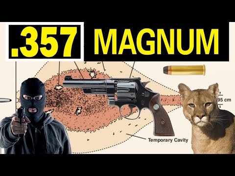 357 MAGNUM: History & Relevance