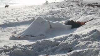 Deas Vail - The Side Effect [A Cappella Cover]