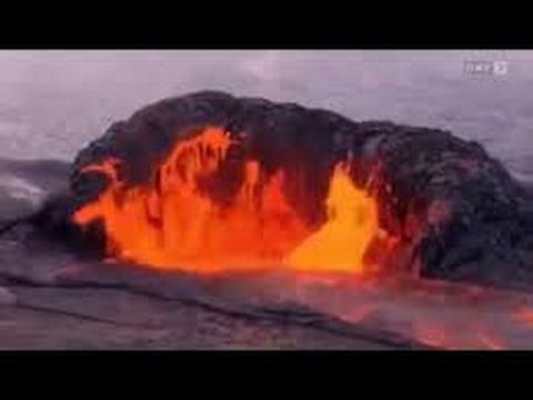 Gründung Franz Hörmann, Harvey Friedman, Andreas Körber ★Dokumentarfilm Doku HD