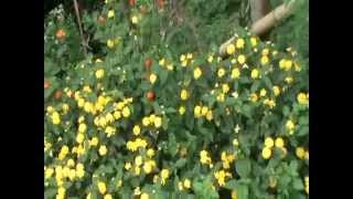 Sahabat Sejati CETTIA FAMILY FB.