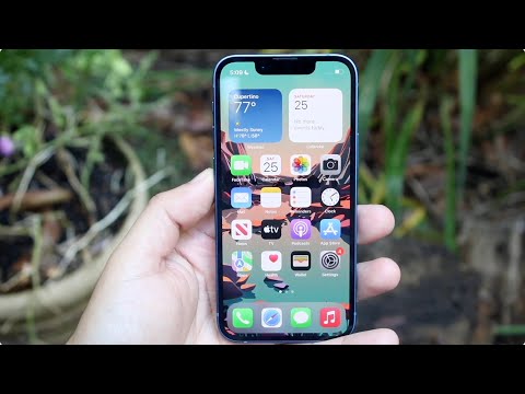 The Best iPhone You've Never Owned