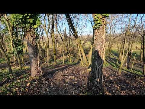 [MTB] Porto di Mare (Milano) - percorso XC completo