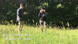 Souls Don't Die - Shapes Of Jade (Audio)