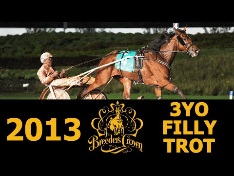 2013 Breeders Crown  - Bee A Magician - 3FT