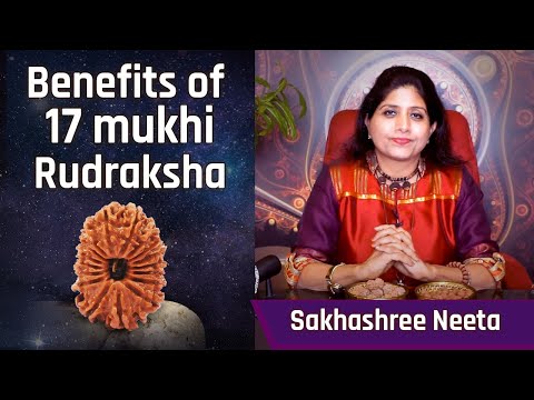 17 Mukhi Rudraksha For Saturn | Activate your 3rd Eye Chakra with 17 mukhi Rudraksha