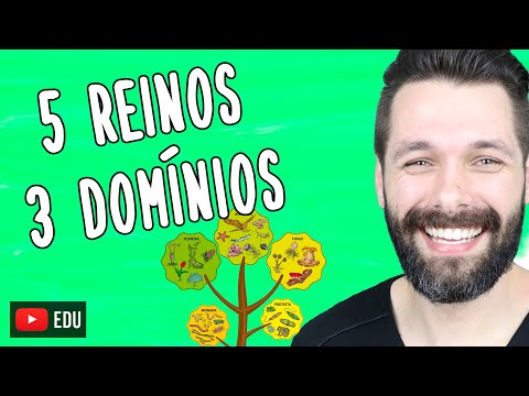 CINCO REINOS E TRÊS DOMÍNIOS - Classificação | Biologia com Samuel Cunha