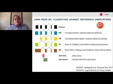Single cell gene expression: new insights through the lens of full length mRNA isoform resolution