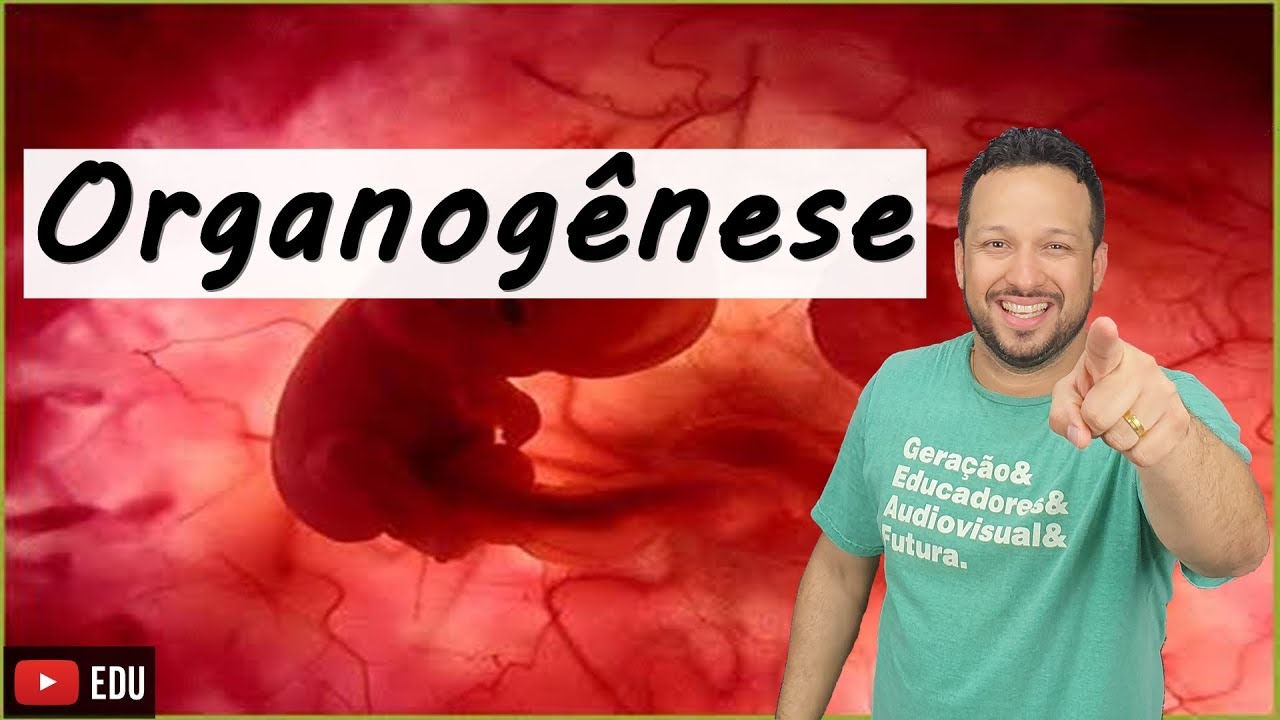 Organogênese - Embriologia - Aula 7