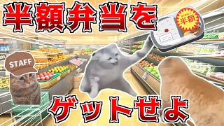 【猫ミーム】半額商品しか食べられない縛りでスーパー行って来た