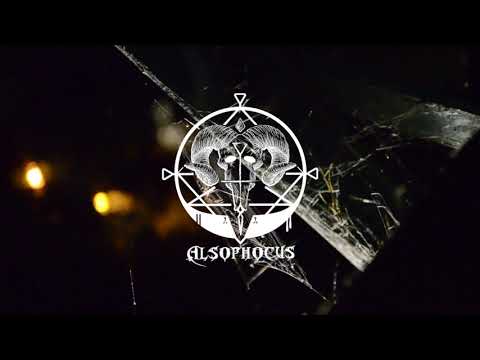 Alsophocus  - Bethel