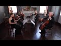 The Girl with the Flaxen Hair - Debussy - Stringspace String Quartet