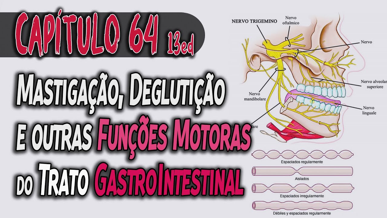 Fisiologia - Propulsão e Mistura dos Alimentos no Trato Gastrointestinal (Capítulo 64/63) │ GUYTON