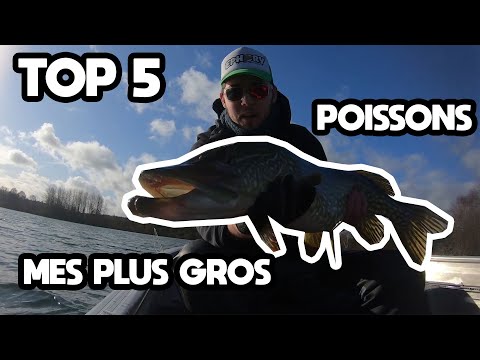 TOP 5 : MES PLUS GROS POISSONS PRIS LORS DE LA SAISON 2019-2020