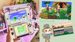 How to Play Animal Crossing New Leaf Online in 2025 ☆ Pretendo ☆ Tortimer Island Multiplayer ☆