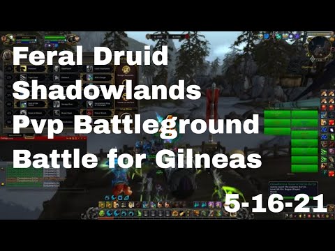 World of Warcraft Shadowlands Feral Druid Pvp Battleground, Battle for Gilneas, 5-16-21