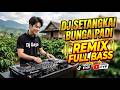DJ SETANGKAI BUNGA PADI REMIX DJ GAYO