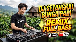 Download lagu DJ SETANGKAI BUNGA PADI - REMIX DJ GAYO mp3