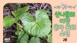 [나는농부다 301회 2부] 산나물의 여왕 윤자 씨의 소원
