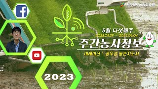[ 주간농사정보 ] 5월 5째주 (2023. 05. 29. ~ 06. 04.)