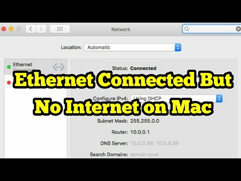 WiFi Works But Not Ethernet: MacBook