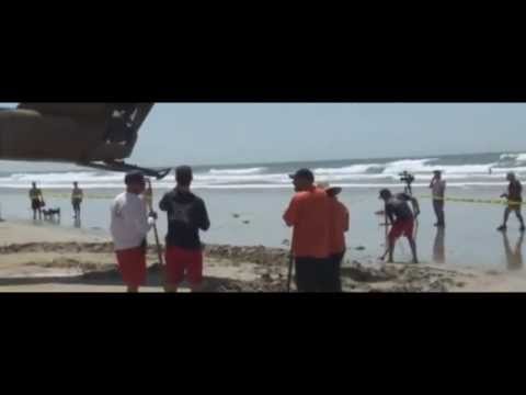 VIDEO: Military helicopter emergency landing on Solana Beach by dog beach